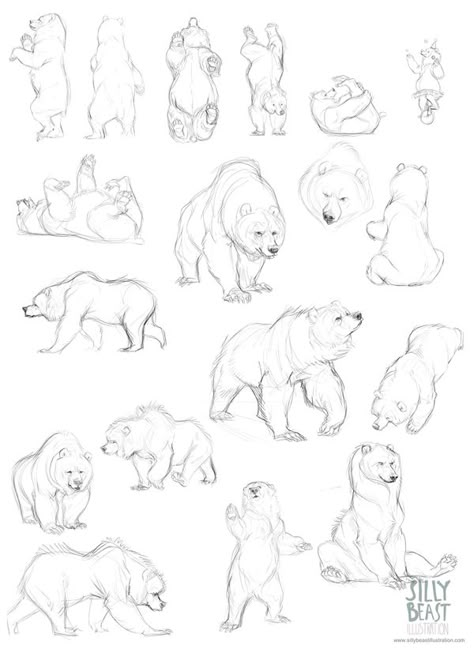 Bear concepts by Therese Larsson, via Behance - because you never know when you'll draw a bear :) Bear Sketch, Drawing Eyes, Bear Drawing, Bear Tattoo, Animal Study, Drawing Animals, Animal Anatomy, 캐릭터 드로잉, Animal Reference