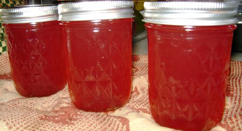 Backyard Bounty: Rhubarb Jelly recipe – mealsfromthemountains Rhubarb Jelly, Rhubarb Plants, Canning Jam, Canned Food Storage, Homemade Jelly, Jelly Recipe, Cooked Apples, Jam And Jelly, Rhubarb Recipes