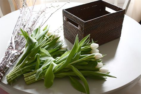 Spring Centerpiece With Tulips and Pussywillow Centerpiece Tutorial, Yellow Cape Cod, Tulip Centerpiece, Spring Centerpiece, Spring Tulips, Front Yard Landscaping Design, Front Yard Landscaping, Cape Cod, Spring Decor