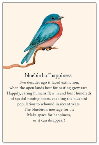 Bluebird Birthday Card Pet Condolences, Support Encouragement, Spiritual Symbols, Symbols And Meanings, Best Friendship, Meaning Of Life, Encouragement Cards, Pretty Words, Blue Bird