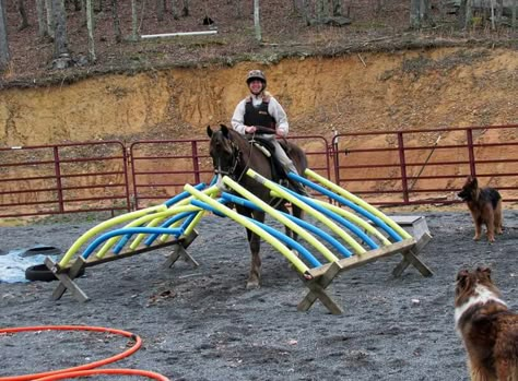 Great obstacle idea! Horse Farm Ideas, Horse Lessons, Horse Arena, Horse Exercises, Horse Games, Horse Camp, Horse Trail, Horse Training Tips, Horse Tips