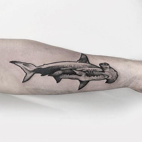 Little hammerhead shark for Aaron. Thanks again man.  #tattoo #etching #gothic…                                                                                                                                                                                 Mais Hammerhead Tattoo, Simple Shark Tattoo, Small Shark Tattoo, Hammerhead Shark Tattoo, Unique Butterfly Tattoos, Unique Small Tattoo, Man Tattoo, Small Shark, Shark Tattoo