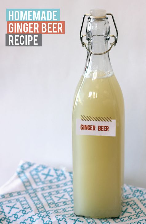 Homemade Ginger Beer Recipe Drinkable Potions, Ginger Beer Mule, Homemade Ginger Beer, Fermenting Foods, Ginger Beer Recipe, Pickle Vodka, Ginger Bug, Soda Syrup, Beer Recipe