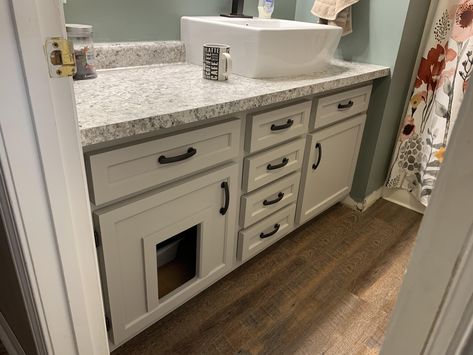 Litterbox Hideaway, Guest Bathroom Vanity, Large Bathroom Sink, Litter Box Ideas, Laundry Remodel, Hidden Litter Boxes, Laundry Ideas, Diy Bathroom Vanity, Bathroom Floors