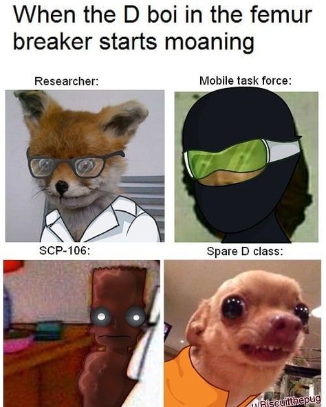 Scp Foundation Memes, Scp 49, Scp 106, Dr. Bright, Scp 049, Super Funny Pictures, Scp Foundation, Roblox Memes, Creature Feature