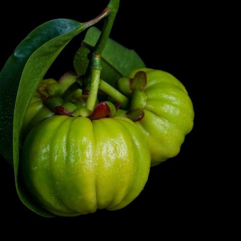 🌿 Garcinia Cambogia is a tropical fruit with some amazing benefits for satiety and weight management: 1. Appetite Control: Its active compound, HCA, may help you feel fuller for longer and control your appetite. 2. Serotonin Boost: Garcinia can increase serotonin levels, improving mood and promoting feelings of fullness. 3. Reduced Cravings: By regulating appetite and boosting serotonin, it can help reduce cravings and overeating. 4. Potential Fat Storage Inhibition: HCA might also help inhi... Reduce Cravings, Increase Serotonin, Garcinia Cambogia, Improve Mood, Tropical Fruit, Weight Management, How Are You Feeling, Benefits, Fruit