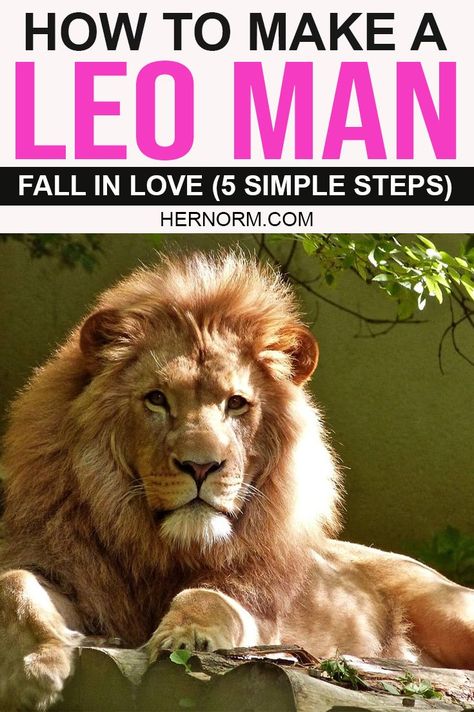 Leo men are some of the most expressive, generous lovers out there. Find out how you can make your Leo Man fall deeply in love with you with these 5 simple but effective ways. Click to read more! Leo Love Language, Leo In Love, Leo Man In Love, Fix Marriage, Fix Relationship, Keep Him Interested, Leo Man, Same Or Different, Boyfriend Advice