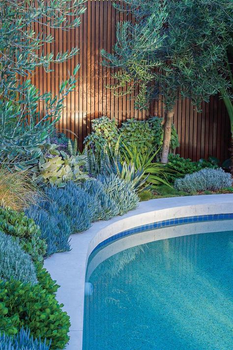 House Front Garden, Front Garden Design Ideas, Garden Landscaping Design, House Gardening, Kidney Shaped Pool, Outdoor Pool Area, Australian Native Garden, Pool Landscape Design, Backyard Garden Landscape