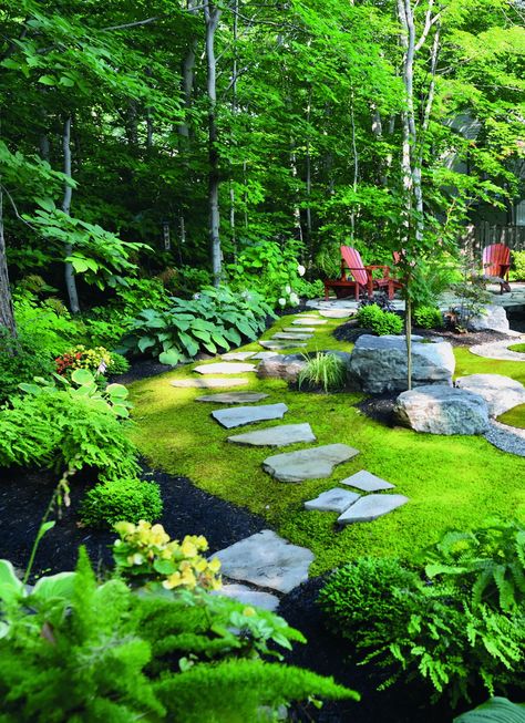 Start Your Own Moss Lawn - Laidback Gardener Planting Zones, Moss Lawn, Lawn Roller, Tiered Garden, Deco Nature, Moss Garden, Ground Cover Plants, Lawn Decor, Backyards