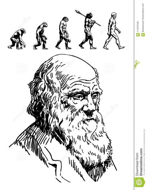 Darwin Tattoo, Charles Darwin Evolution, Darwin Evolution, Evolution Of Man, Evolution Art, Dry Point, School Book Covers, Man Hand, Avengers Wallpaper