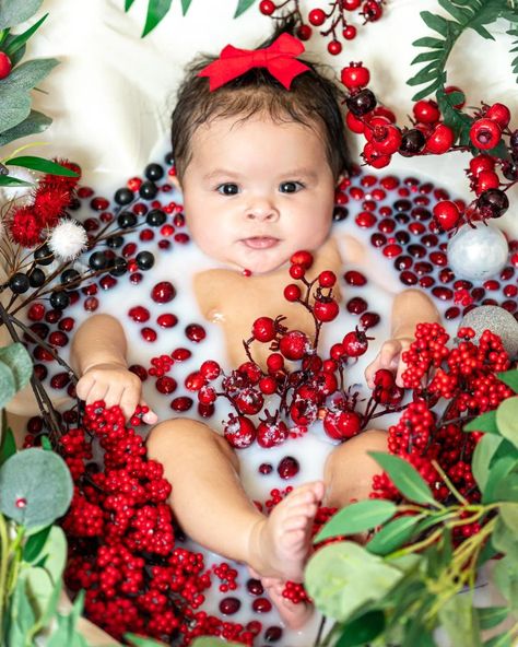 Christmas Photoshoot 9 Month Old, December Milestone Baby Pictures, 3 Month Old Christmas Pictures, Christmas Milk Bath Baby, Baby Bath Photoshoot, Holiday Baby Pictures, Baby Christmas Photoshoot, Raven Photo, Baby Milk Bath