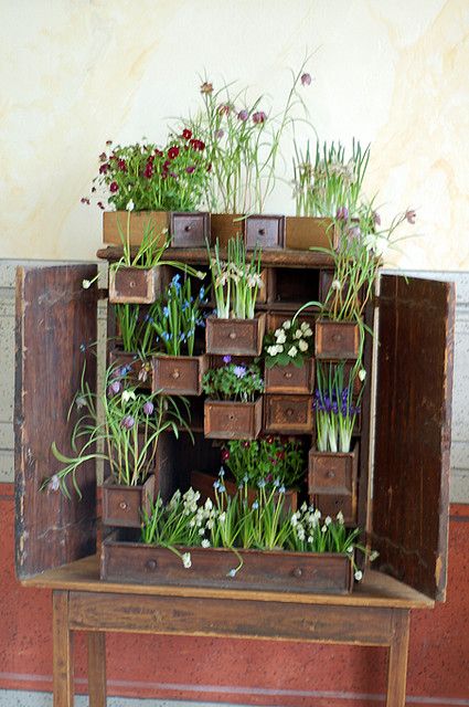 Cupboard gardening نباتات منزلية, Future Garden, Garden Inspo, Garden Fun, Dream Yard, Modern Garden Design, Have Inspiration, Backyard Spaces, Whimsical Garden