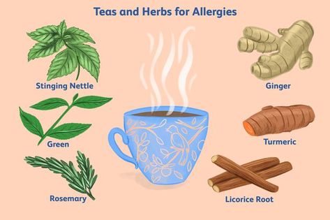 Tea For Allergy Relief, Antihistamine Herbs, Tea For Allergies, Stinging Nettle Tea, Herbs For Allergies, Help With Allergies, Pelvic Inflammatory, Tea For Inflammation, Virus Hiv