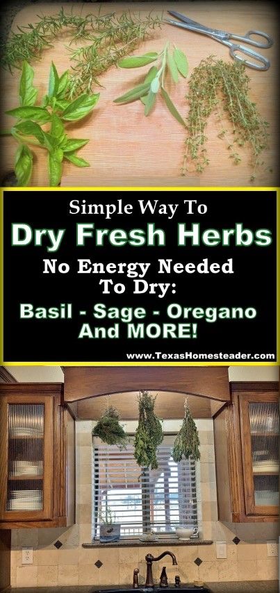 I'm sharing my herb drying setup. I harvest fresh herbs and hang them over decorative hooks in my kitchen. #TexasHomesteader Dry Fresh Herbs, Herbs Cooking, Homestead Hacks, Drying Fresh Herbs, Herb Drying, Glass Kitchen Cabinet Doors, Food Preserving, No Energy, Garden Herbs