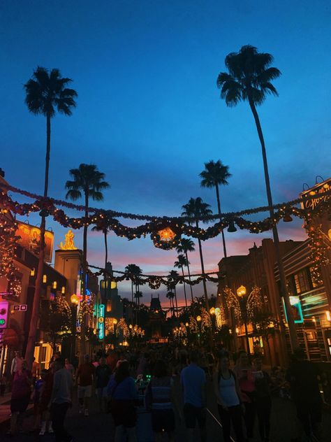 Christmas In Los Angeles Aesthetic, Christmas In Florida Aesthetic, Christmas At Disney World Aesthetic, Cocoa Beach Aesthetic, Disney During Christmas, Hollywood Studios Christmas, Disney World Aesthetic, Disney Duos, Los Angeles Aesthetic