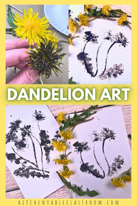 Kids Nature Activities, Atelier Ideas, Dandelion Drawing, Dandelion Plant, Printmaking Ideas, Homeschool Nature Study, Printmaking Projects, Dandelion Painting, Planting For Kids