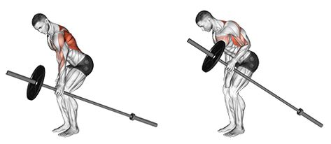 Back And Biceps: The Best Workout Combination - GymGuider.com Bruce Lee Abs Workout, Dumbbell Back Workout, Back And Bicep Workout, Traps Workout, T Bar Row, Cable Workout, Body Build, Monday Workout, Body Coach