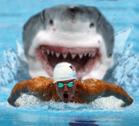 With training like this, no wonder Ryan Lochte won gold. #sharkweek Olympic Winners, Swimming Funny, Swimming Motivation, Happy Shark, Swimmers Life, Funny Sports Pictures, Swimming Quotes, Swim Mom, Photography Trends