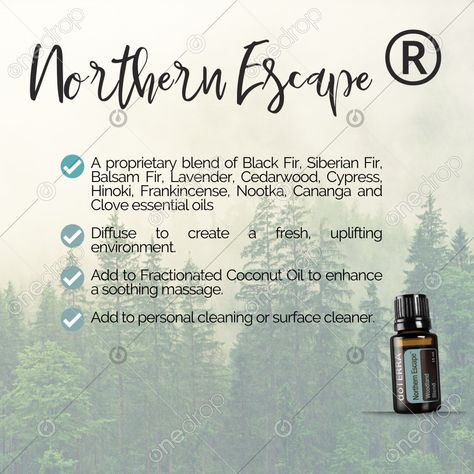 Northern Escape ® #Northern Escape® #Northern Escape #northern escape uses #northern escape benefits #ways to use northern escape #wellnessadvocate #doterra #wellnessstockphotos #onedropdesigns #doterrawellnessadvocate #doterratips #doterragraphics #doterraphotos Clove Essential Oil, Doterra Wellness Advocate, Fractionated Coconut Oil, One Drop, Surface Cleaner, Doterra, Social Media Post, Benefits, Social Media