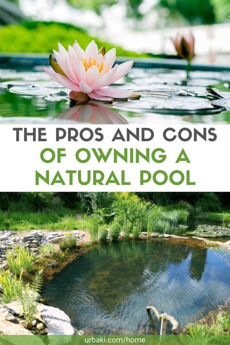 Diy Pond Pool, Natural Backyard Pools, Diy Ponds Backyard, Swimming Pool Pond, Living Pool, Natural Swimming Ponds, Garden Pond Design, Diy Pond, Swimming Pond