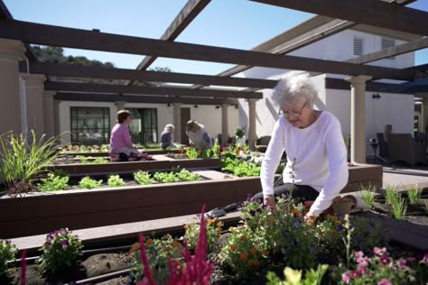 Emma Sachen works in one of the 10 raised beds on the rooftop of Crestavilla senior community in Laguna Niguel. (Photo: Matt Innes, courtesy of Atria Senior Living) Atria Senior Living, Senior Living Interior Design, Senior Living Facilities, Healing Garden, Assisted Living Facility, Senior Living Communities, Genius Loci, Elderly Home, Community Living