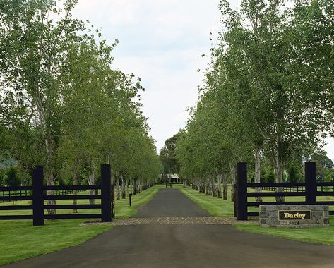 Long Gravel Driveway Landscaping, Farmhouse Driveway Entrance Ideas, Acreage Landscaping Driveway Entrance, Landscaping Driveway Entrance, Driveway Entrance Curb Appeal, Homestead Homes, Property Entrance, Landscaping Driveway, Farm Gates Entrance