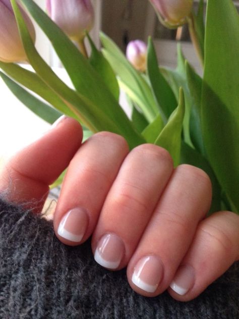 Short Nails Shellac, Short French Nails, Short French, Short Gel Nails, Gel Nail Art Designs, French Manicure Nails, Super Nails, White French, Manicures Designs