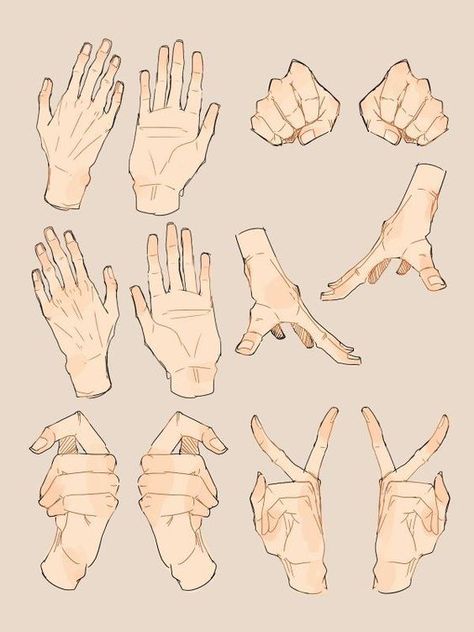 Hands Anatomy, Webtoon Inspiration, Arms Reference, Hands Tutorial, Peace Sign Hand, Draw Hands, Drawing Hands, Hand Gestures, Hand Drawing Reference