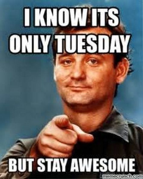 101 Tuesday Memes - "I know it's only Tuesday but stay awesome." Tuesday Quotes Funny, Funny Tuesday, Tuesday Meme, Family Guy Quotes, Funny Weekend Quotes, Happy Tuesday Quotes, Morning Memes, Tuesday Quotes, Tuesday Humor