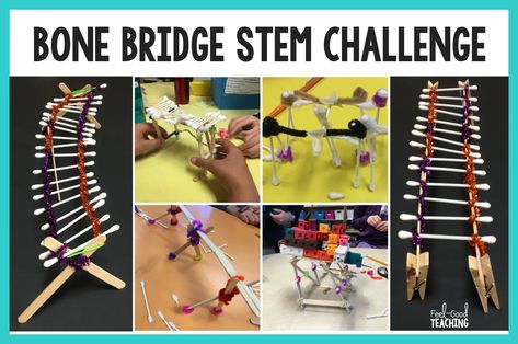 The Bone Bridge STEM Challenge is a perfect fit for your Halloween activities because it’s fun with substance! In this challenge, students build a bridge for length, strength, and/or capacity using cotton swab “bones”. But never fear, if you don’t do Halloween at your school, simply connect this to your content standards and leave all... Bridge Stem Challenge, Fall Stem Challenges, Halloween Stem Challenge, Newton's Laws Of Motion, Halloween Teaching, Newton's Laws, The Skeletal System, Laws Of Motion, Build A Bridge