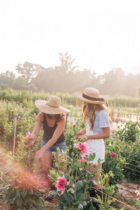 Flower Farms, Working In The Garden, Cut Flower Farm, Flower Farming, Flower Truck, Farm Lifestyle, Julia Berolzheimer, Flower Farmer, Indoor Gardens