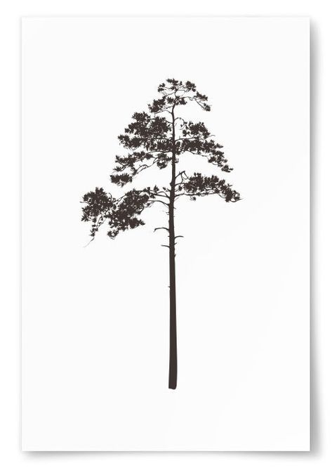 Pine Tattoo, Pine Tree Drawing, Pine Tree Tattoo, Mens Business Casual Outfits, Tree Drawing, Tree Tattoo, Pine Tree, Leg Tattoos, Posters Prints