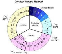 Cervical Mucus Method Chart Natural Birth Control, Birth Control Options, Fertility Awareness Method, Natural Family Planning, How To Conceive, Pregnancy Help, Cervical Mucus, Fertility Awareness, Chances Of Getting Pregnant