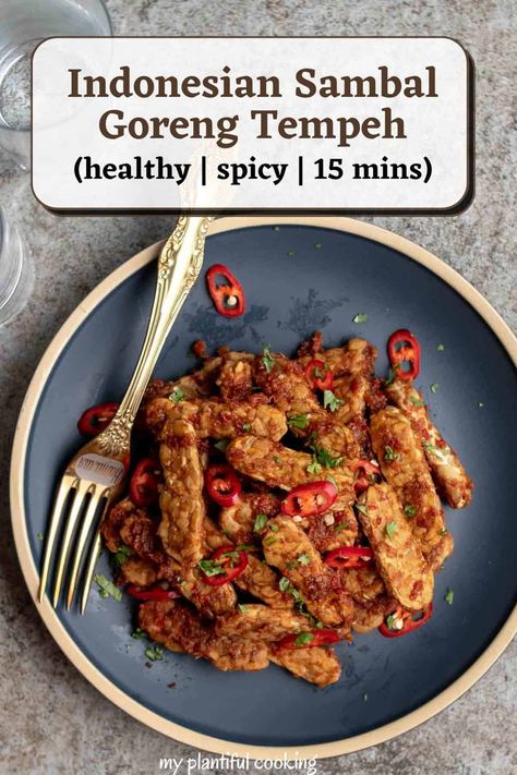 Indonesian Sambal Goreng Tempeh Tempeh Recipes Indonesian, Vegan Indonesian Food, Authentic Indonesian Food, Vegan Indonesian Recipes, Indonesian Appetizer, Balinese Recipes, Tempeh Recipes Vegan, Balinese Recipe, Indonesian Food Recipes