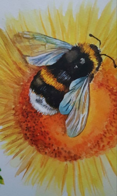 Daler Rowney Watercolor, Bee Watercolor, Daler Rowney, The Store, Bumble Bee, Watercolor Paper, Watercolor Painting, Sunflower, Acrylic Painting