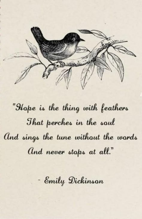 Blue Bird Of Happiness Quotes, Bird Poems Quotes, Bird Quotes Inspirational Short, Free As A Bird Quotes, Poems About Birds, Commonplace Journal, Bird Poems, Bird Symbolism, Soul Keeper