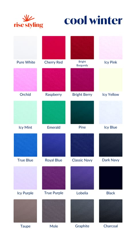 Color Palette Cool Winter, True Winter Clothes, Hoc Winter Outfits, Winter Color Swatches, Deep Winter Outfits For Summer, True Winter Color Palette Outfits, Winter Color Palette Clothes, Cold Winter Color Palette, Winter Palette Outfits