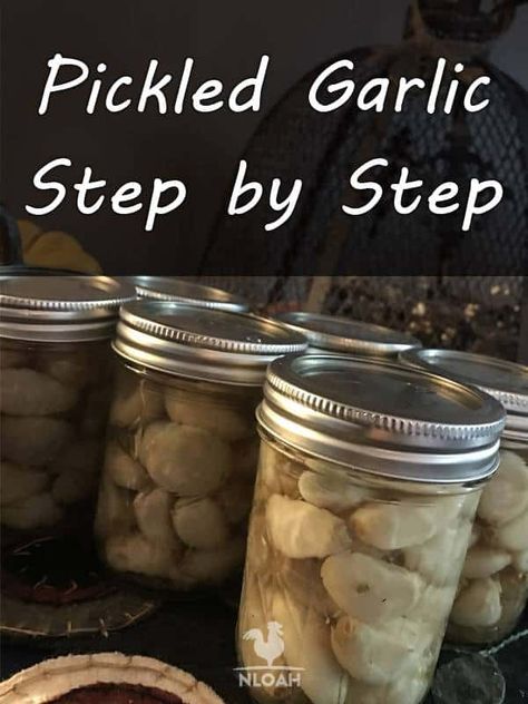 Pickle Garlic, Water Bath Cooking, Pickle Recipes Homemade, Salad At Home, Canning Equipment, Caesar Pasta Salad, Caesar Pasta, Food Preserving, Canning Pickles