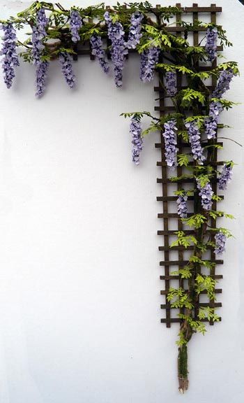 I will have wisteria in my garden next year. Vine Wall Outdoor Patio, Trellis Around Window, Wisteria On Trellis, Vines Growing On Wall, Wisteria Trellis Ideas, Climbing Plants In Pots, Trellis Porch, Mudroom Door, Wisteria Wall