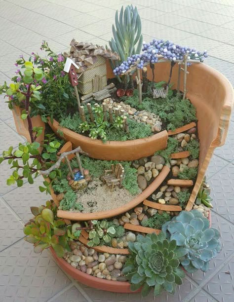 Broken Pot Garden, Kaktus Dan Sukulen, Fairy Garden Pots, Indoor Fairy Gardens, Cactus Terrarium, Open Garden, Fairy Garden Plants, Fairy Garden Designs, Fairy Garden Crafts