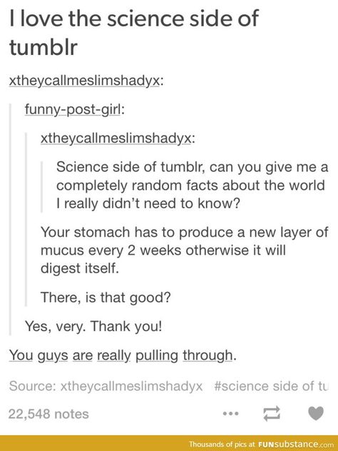 Science Side Of Tumblr Funny, Science Side Of Tumblr, Tumblr Science, Science Tumblr, Sea Cucumber, Internal Organs, Funny Tumblr Posts, The More You Know, Text Posts