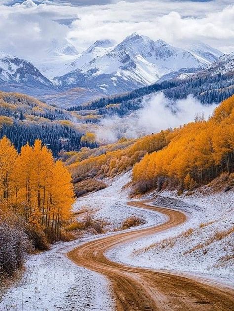 Pretty Landscape Pictures, Fall In The Mountains, Colorado Autumn, Colorado Lifestyle, Rocky Mountains Colorado, Colorado Fall, Scenic Pictures, Nature Camping, Beautiful Landscape Photography