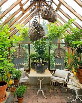 23 Garden Sheds That Will Make You Feel Warm And Cosy Inside Serre Diy, Diy Greenhouse Plans, Best Greenhouse, Greenhouse Shed, Build A Greenhouse, Indoor Greenhouse, Greenhouse Interiors, Home Greenhouse, Backyard Greenhouse