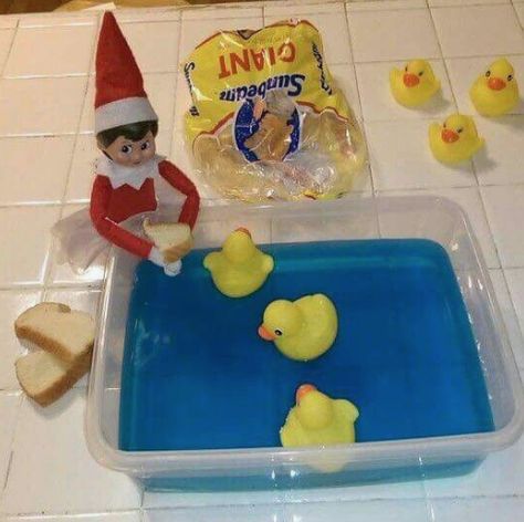 The Complete Index of Elf on the Shelf Ideas Duck Ideas, Diy Elf, Blue Jello, Elf Christmas Tree, Xmas Photos, Elf Antics, Rubber Ducks, Santa Claus Is Coming To Town, Elf Christmas