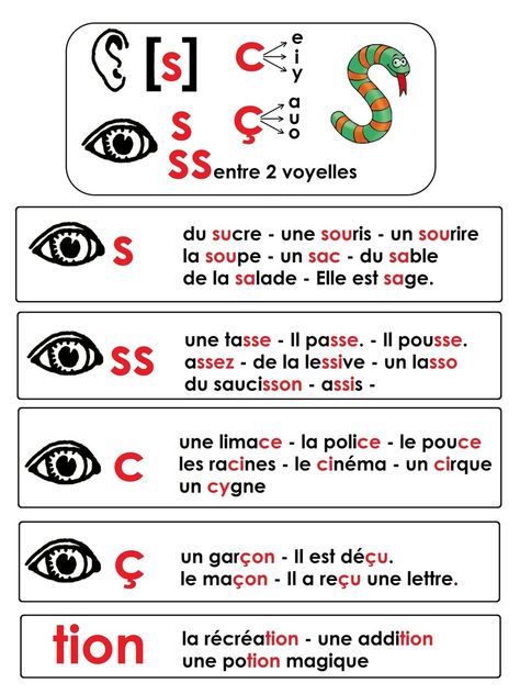 French Language Learning Kids, Teaching French Immersion, French Practice, French Basics, French Flashcards, Basic French Words, French Worksheets, French Teaching Resources, French Kids