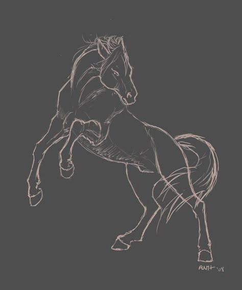 How To Draw A Horse Rearing, Horse Rearing Drawing Reference, Rearing Horse Sketch, Dark Horse Drawing, Horse Rearing Reference, Drawing Ideas Horse Sketch, Rearing Horse Drawing, Horse Rearing Drawing, Horse Jumping Drawing