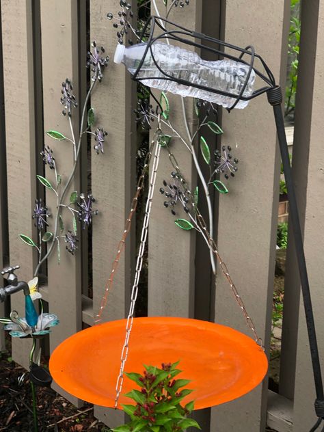 Bring more Hummingbirds to your garden with a water drip. Hang a water bottle over bird bath. Poke a pin hile in top of bottle, one in bottom side and it will drip all day! Water Drip, Fly On The Wall, Easter Basket Diy, Diy Water, Nail Designs Spring, Hummingbirds, Easter Diy, Easter Baskets, Bird Bath