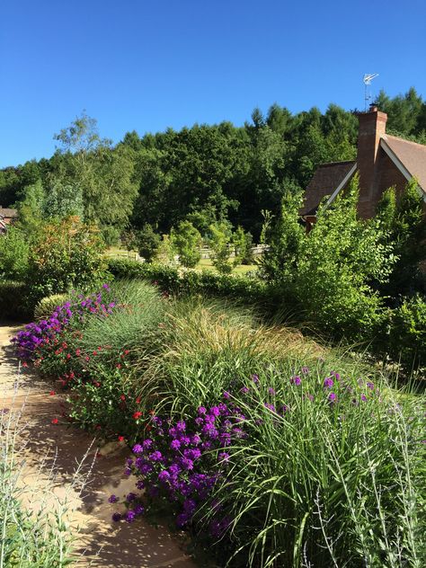 How to Design a South-facing Garden | Houzz UK South Facing Garden Ideas Uk, South Facing Garden Ideas, Garden Ideas Uk, Urban Courtyards, Orchard Garden, South Facing Garden, Front Garden Design, Mediterranean Plants, Timber Structure