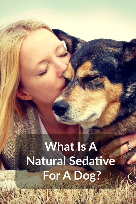 Sedatives For Dogs, Natural Dog Calming Remedies, Calming Herbs For Dogs, Natural Sedatives, Dog Calming Remedies, Itching Remedies, Dog Itching Remedies, Holistic Dog Care, Rescue Remedy