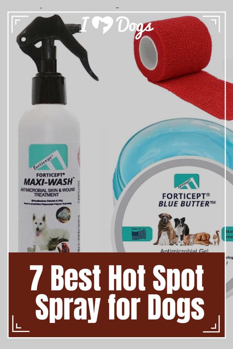 7 Best Hot Spot Spray for Dogs Dog Hot Spot Remedy Diy, Dog Hot Spots, Itch Relief, Dry Itchy Skin, Anti Itch, Allergy Relief, English Springer, Insect Bites, Springer Spaniel